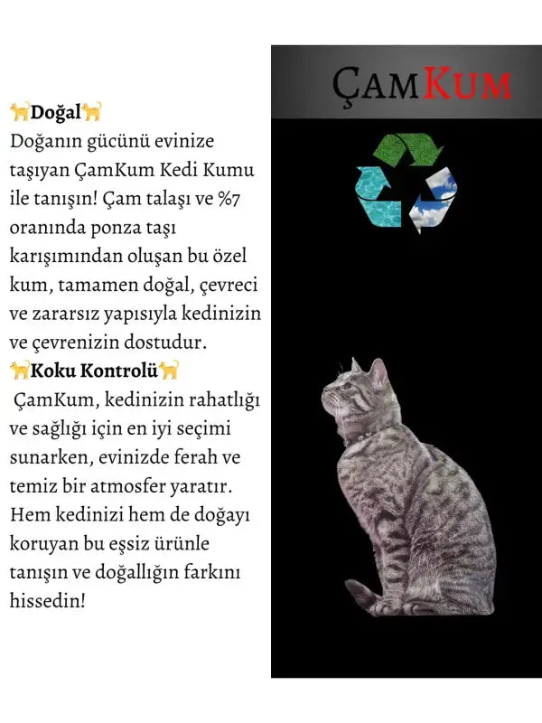 ÇamKum Kokusuz Kedi Kumu - DaduMla
