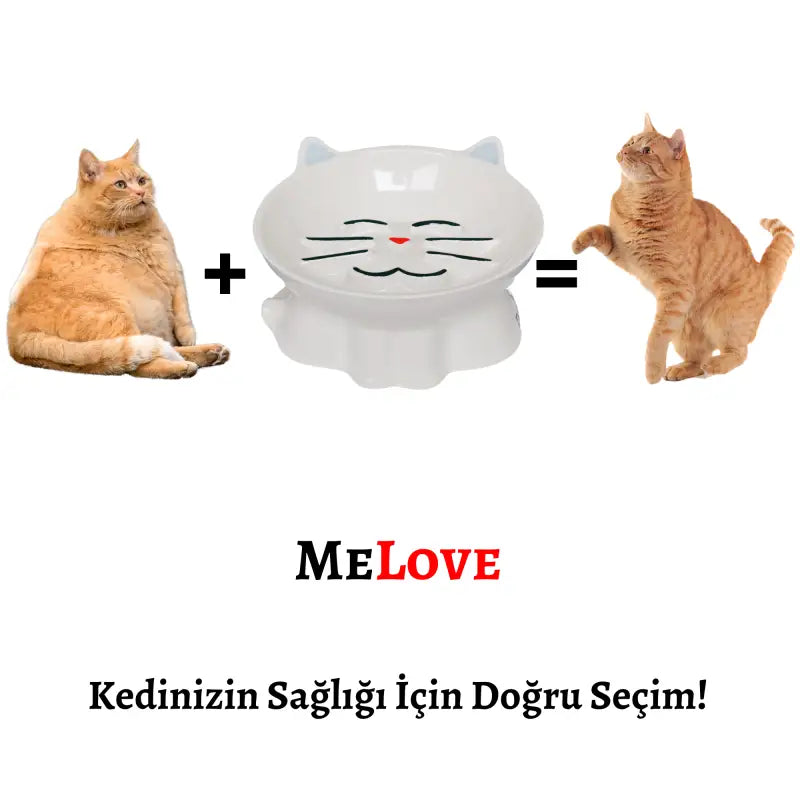 MeLove Yavaş yeme fonksiyonlu porselen mama kabı