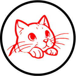 Yeni Kedi Sahipleri İçin Rehber