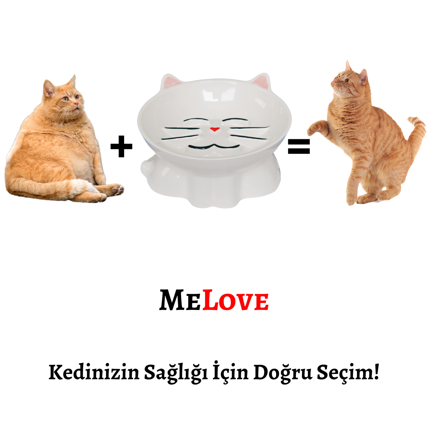 MeLove Porselen Yavaş Yeme Mama Kabı (Bloom)